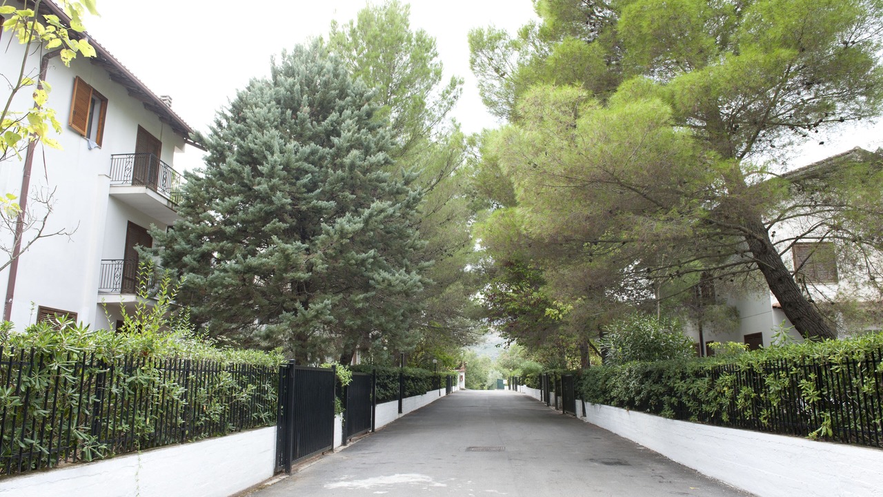 Photo of Outdoor in Torchiara