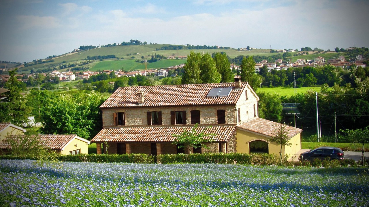 Photo of Others in Castelbellino