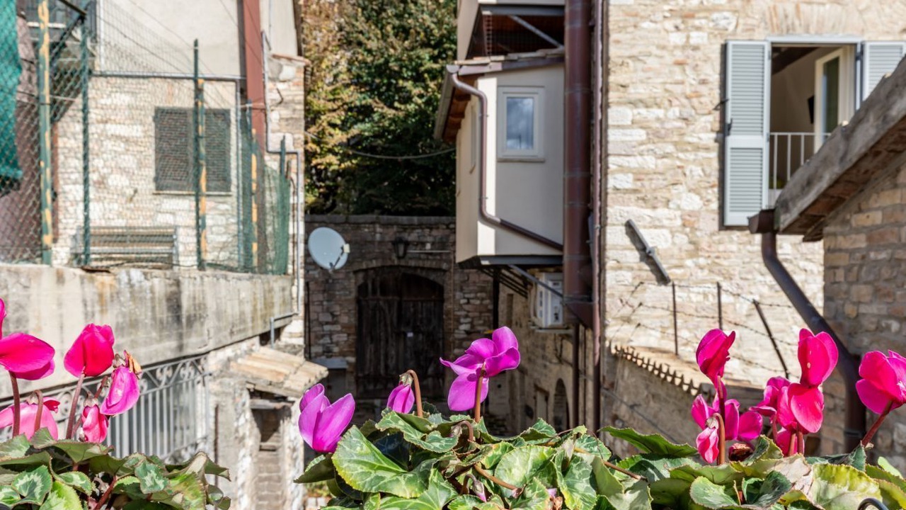 Photo of Outdoor in Assisi