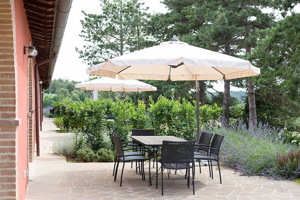 Photo of Outdoor in Trequanda