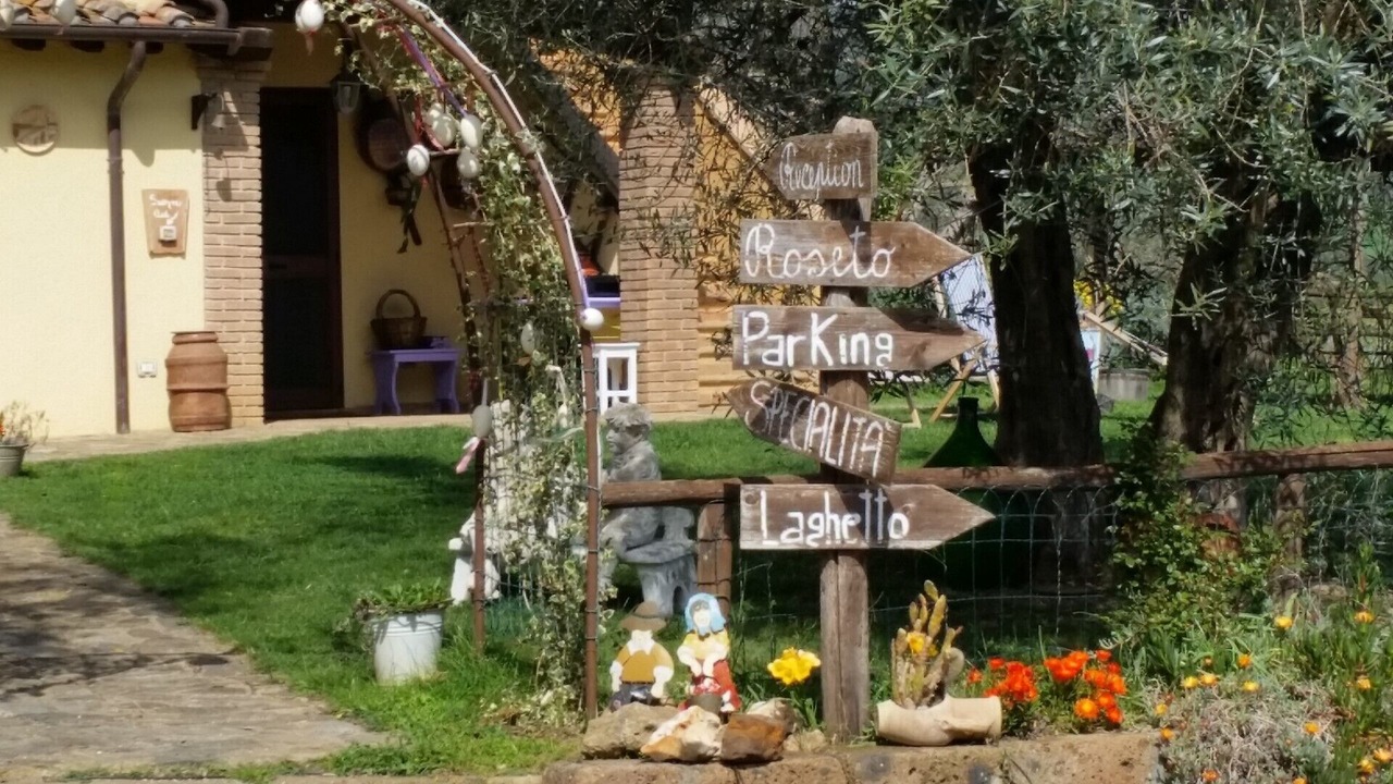 Photo of Outdoor in Manciano