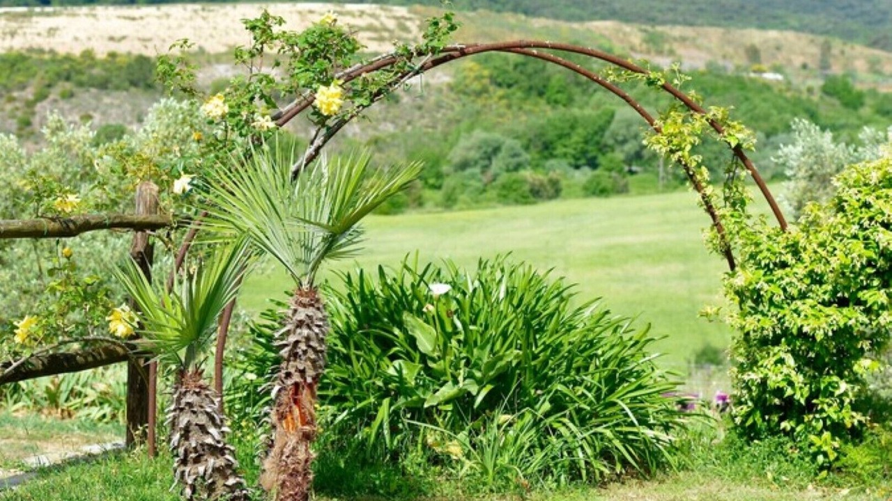 Photo of Outdoor in Manciano
