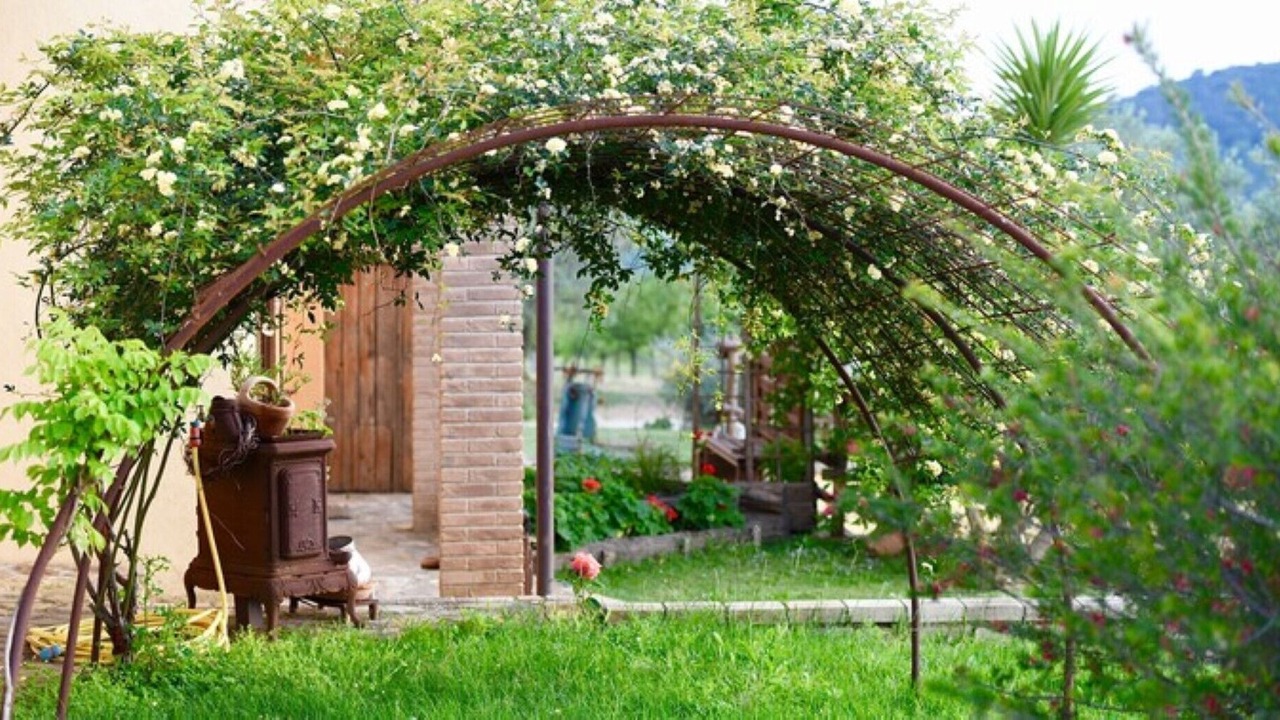 Photo of Outdoor in Manciano