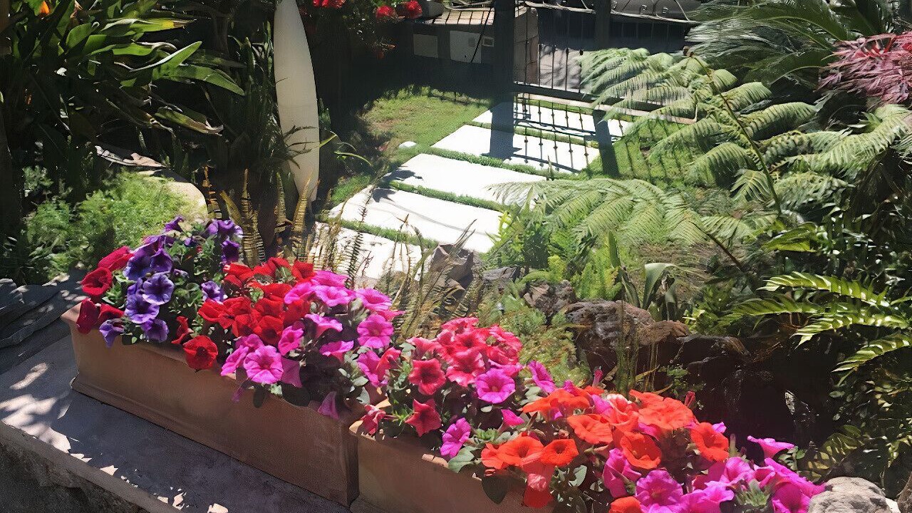 Photo of Outdoor in Ischia Porto