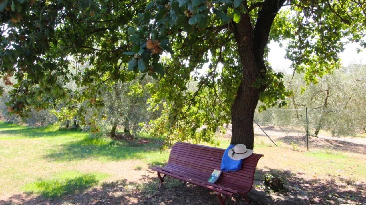 Photo of Outdoor in Le Piazze