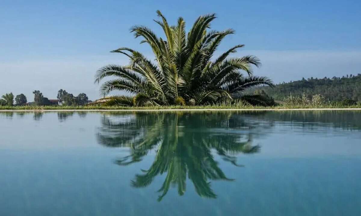 Photo of Outdoor in Castellaccia