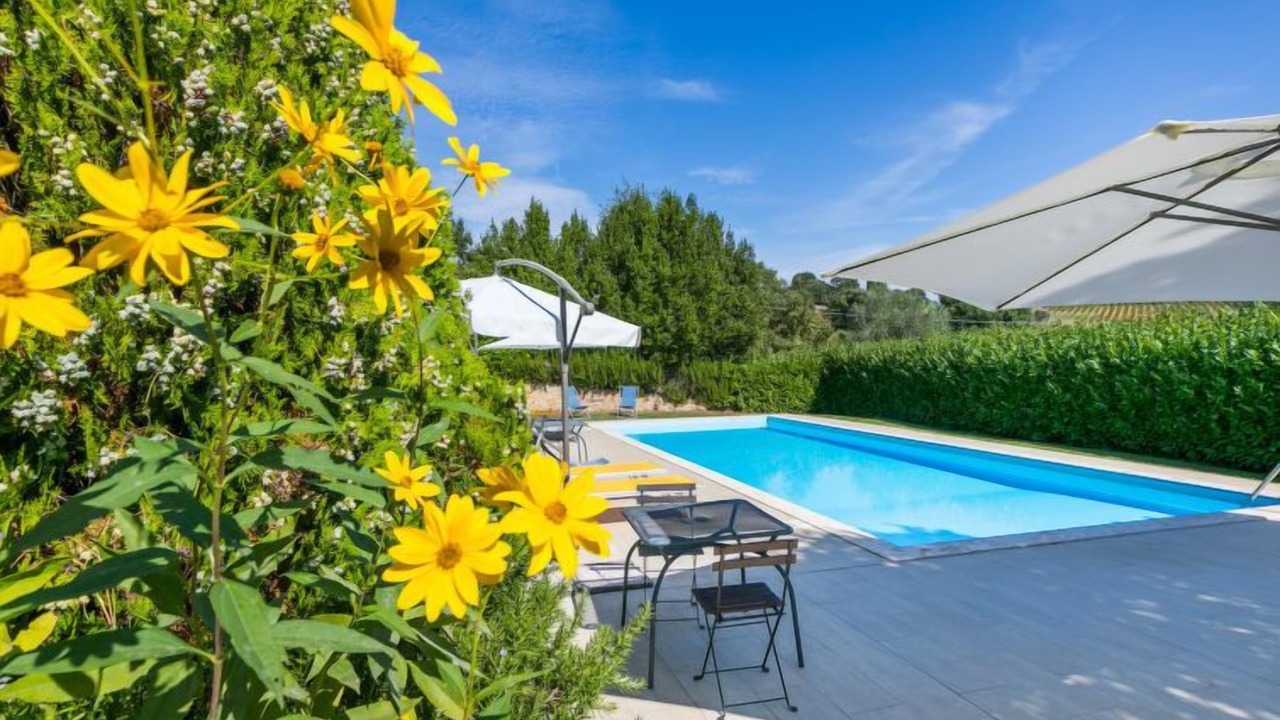 Photo of Outdoor in Trequanda