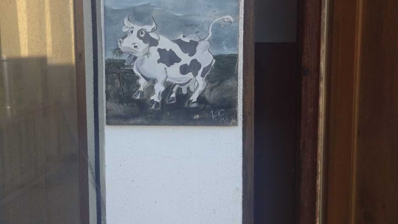 Photo of Outdoor in Arcavacata