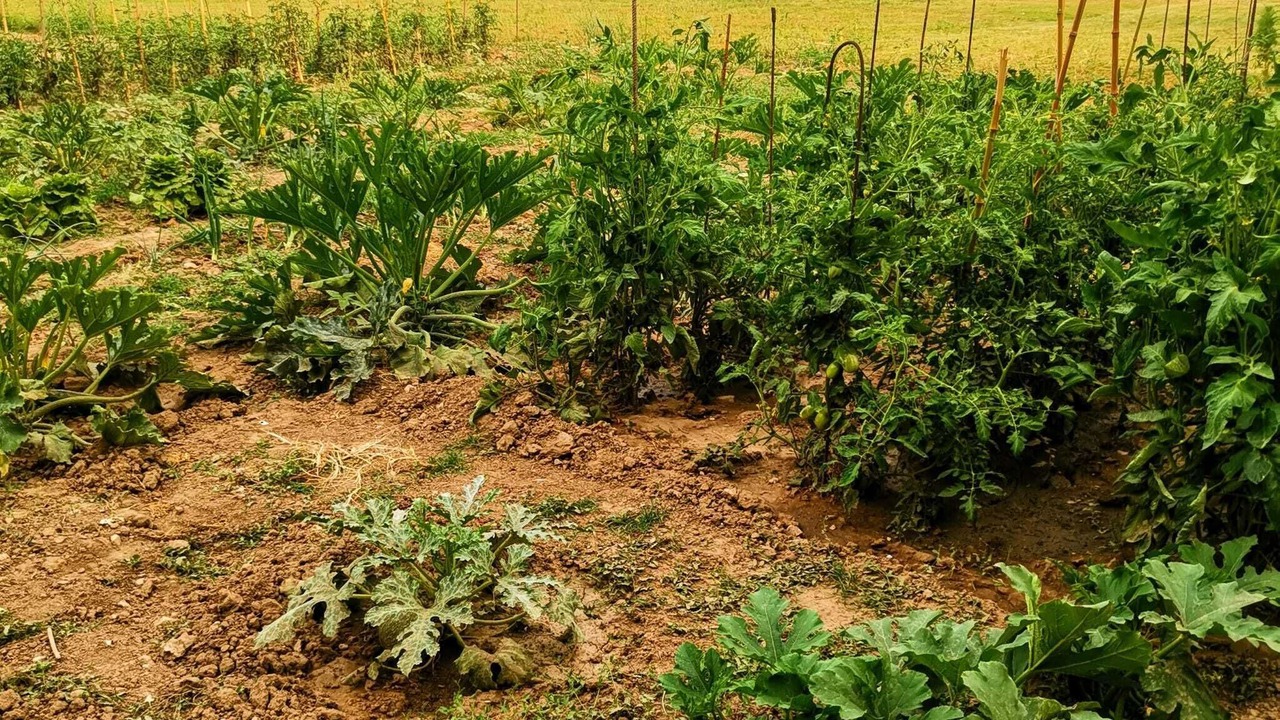 Photo of Outdoor in Torgiano