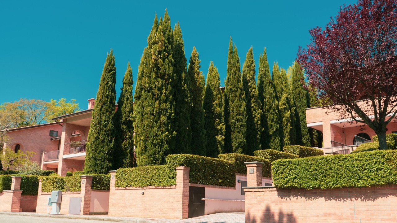 Photo of Outdoor in Assisi
