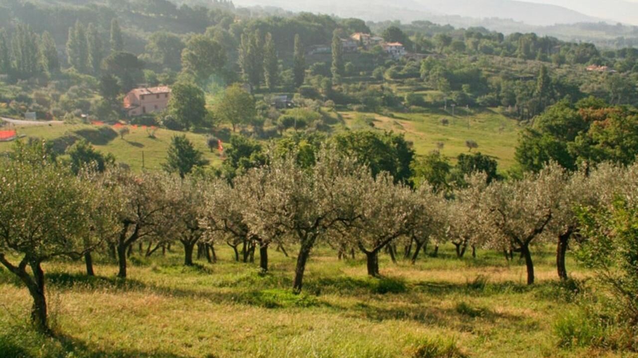 Photo of Others in Rivotorto
