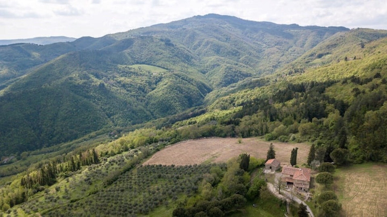 Photo of Outdoor in Pontassieve