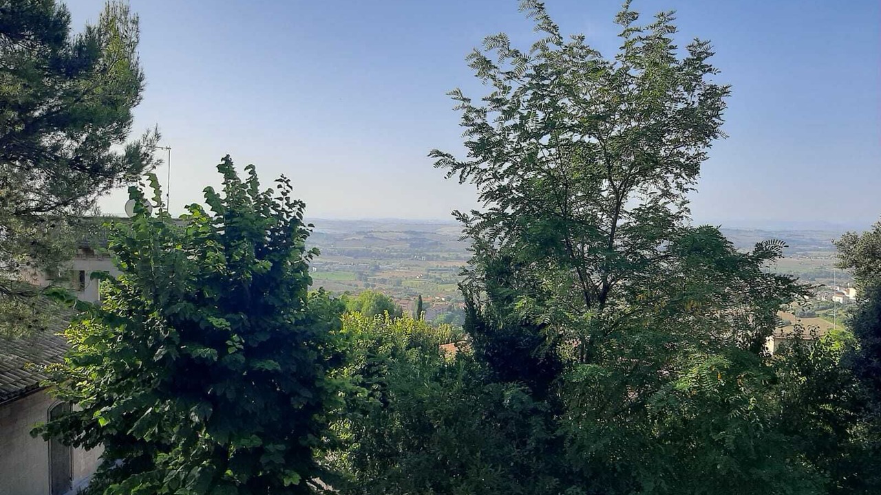 Photo of Others in Osimo