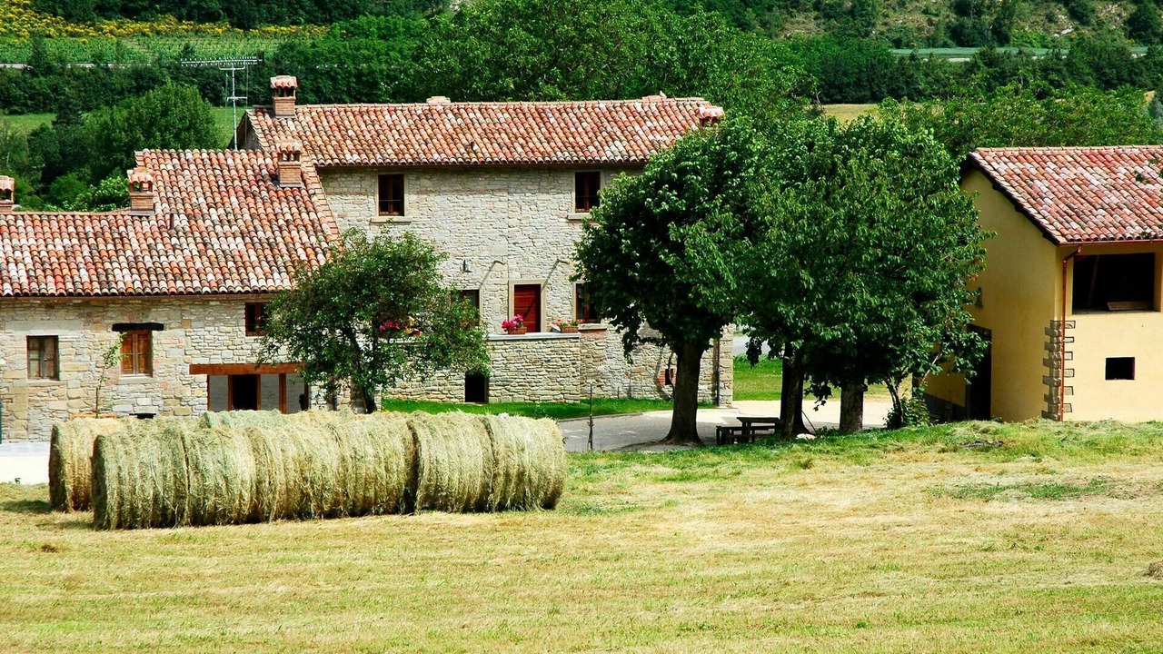 Photo of Outdoor in Marradi