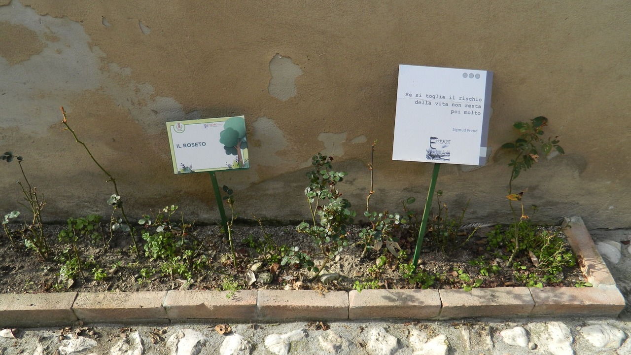Photo of Outdoor in Narni Scalo