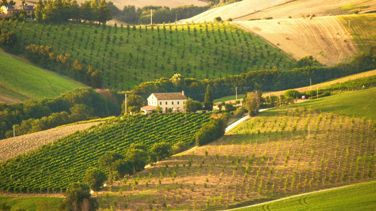 Photo of Others in Montecarotto
