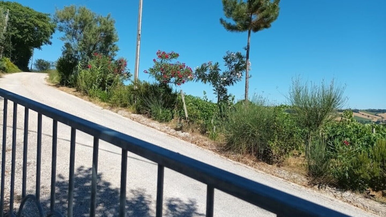 Photo of Outdoor in Mondavio