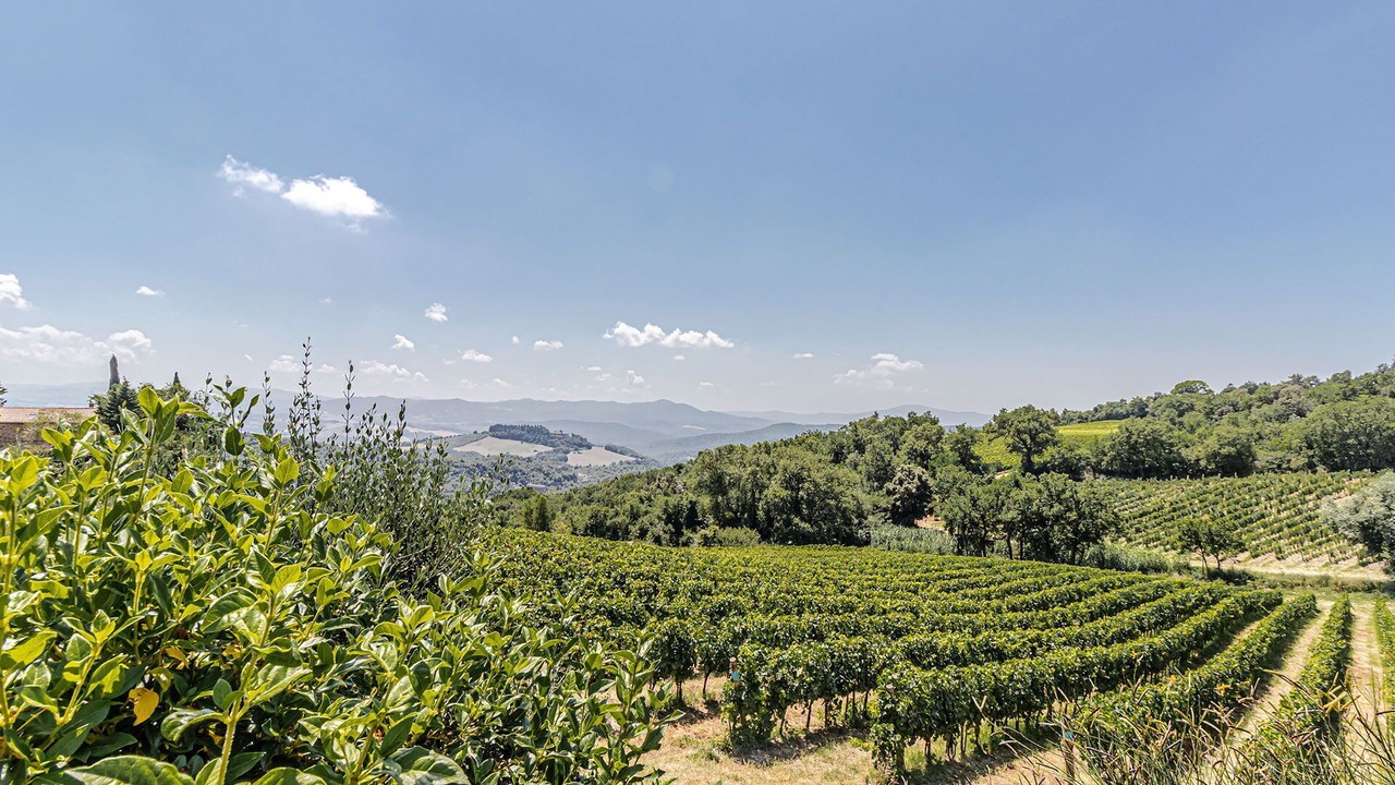 Photo of Outdoor in Montecatini Val di Cecina