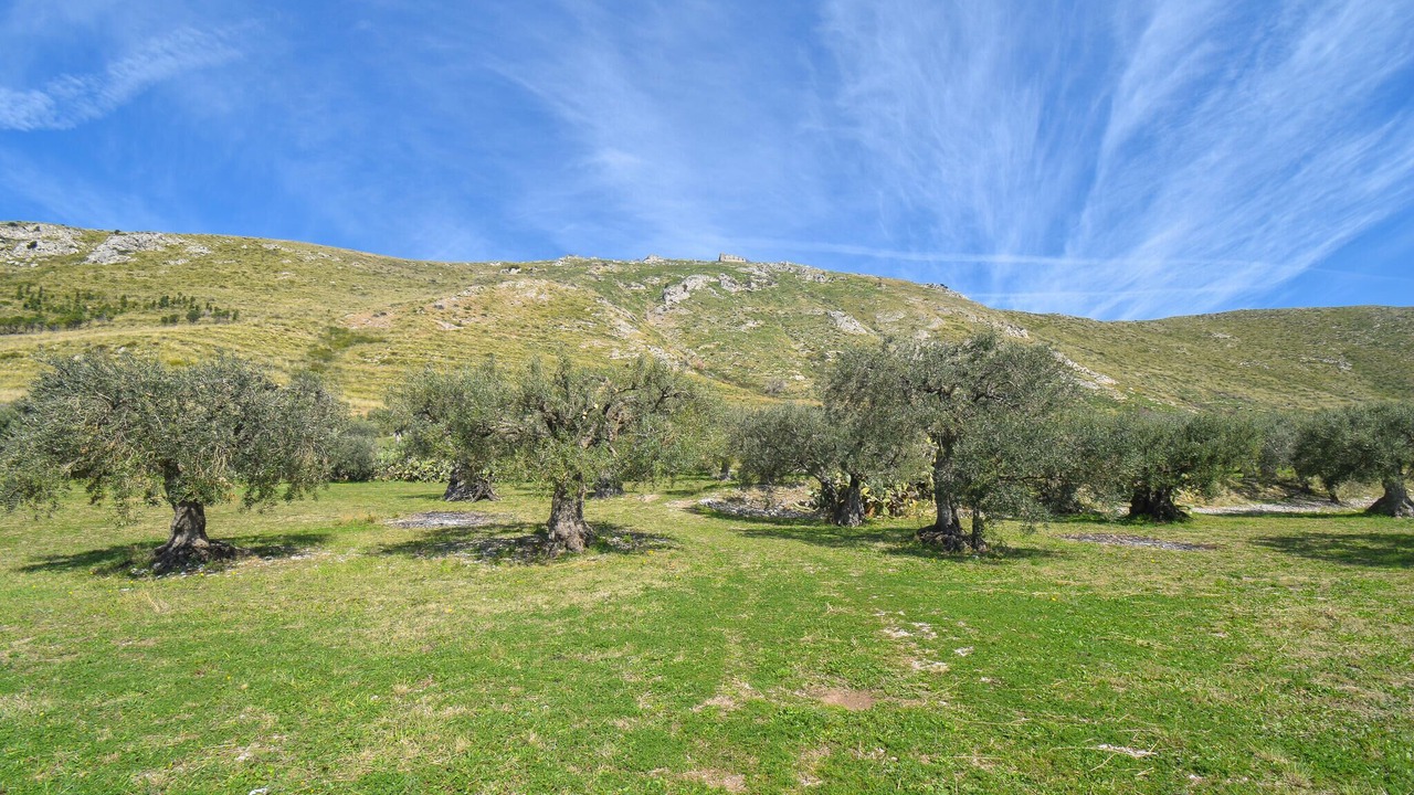 Photo of Others in Mondragone