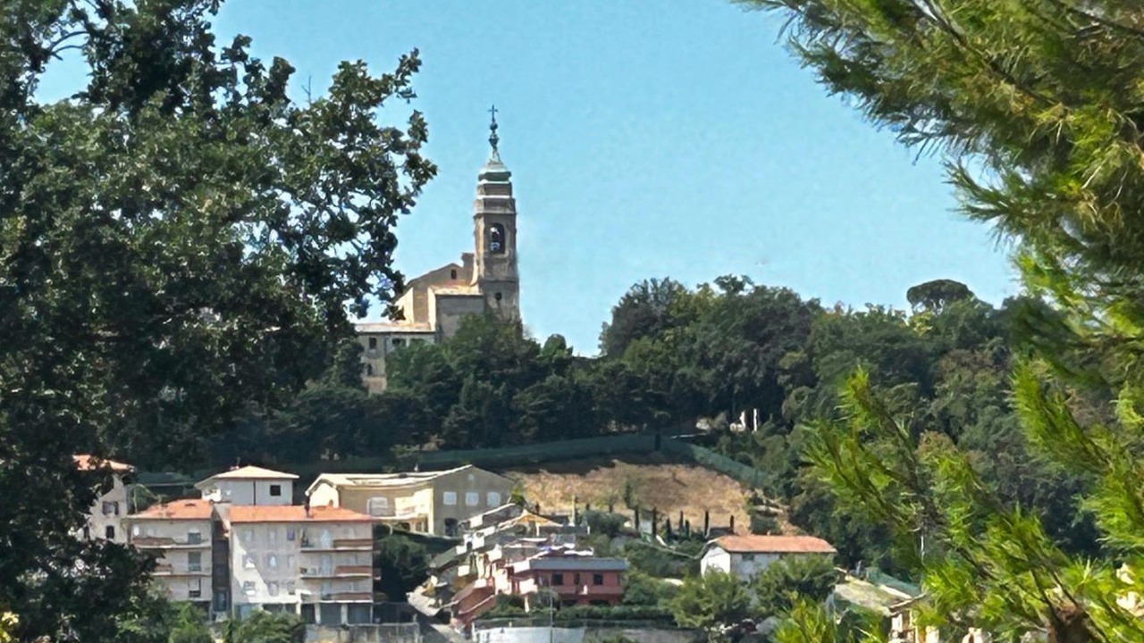 Photo of Others in Camerano