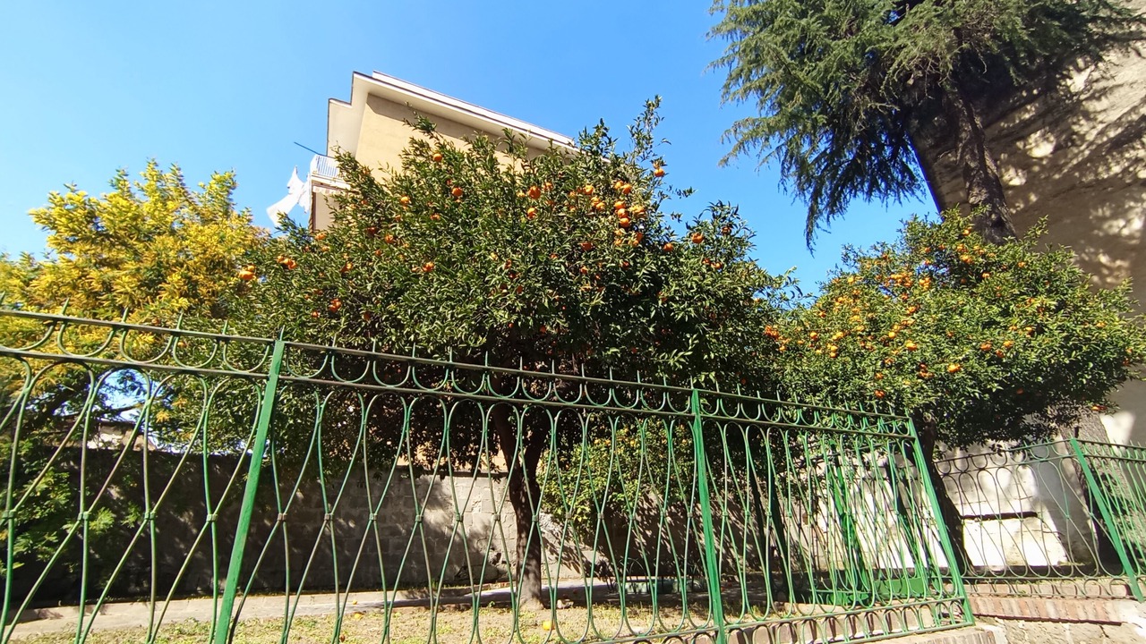 Photo of Outdoor in Secondigliano
