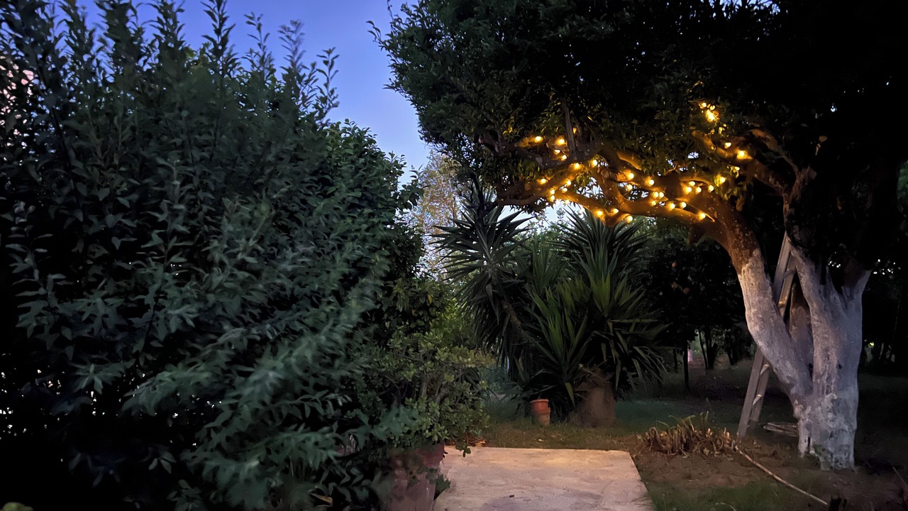 Photo of Outdoor in Procida