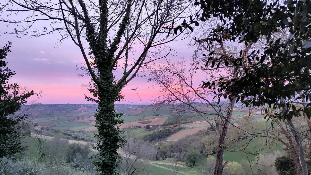 Photo of Others in Mombaroccio