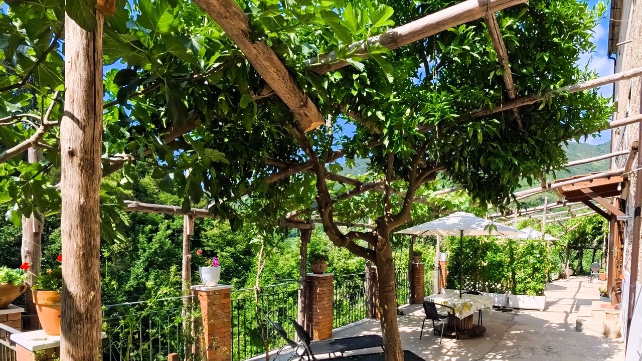 Photo of Patio Balcony in Pucara