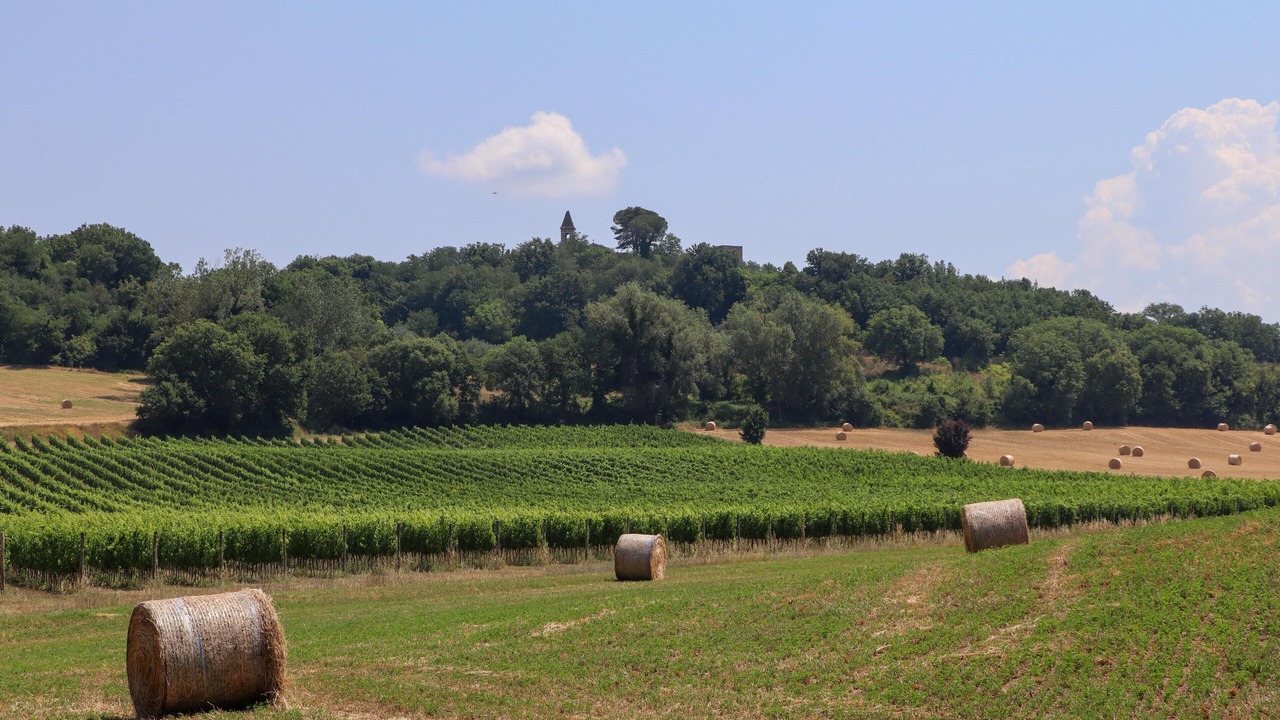 Photo of Others in Solfagnano