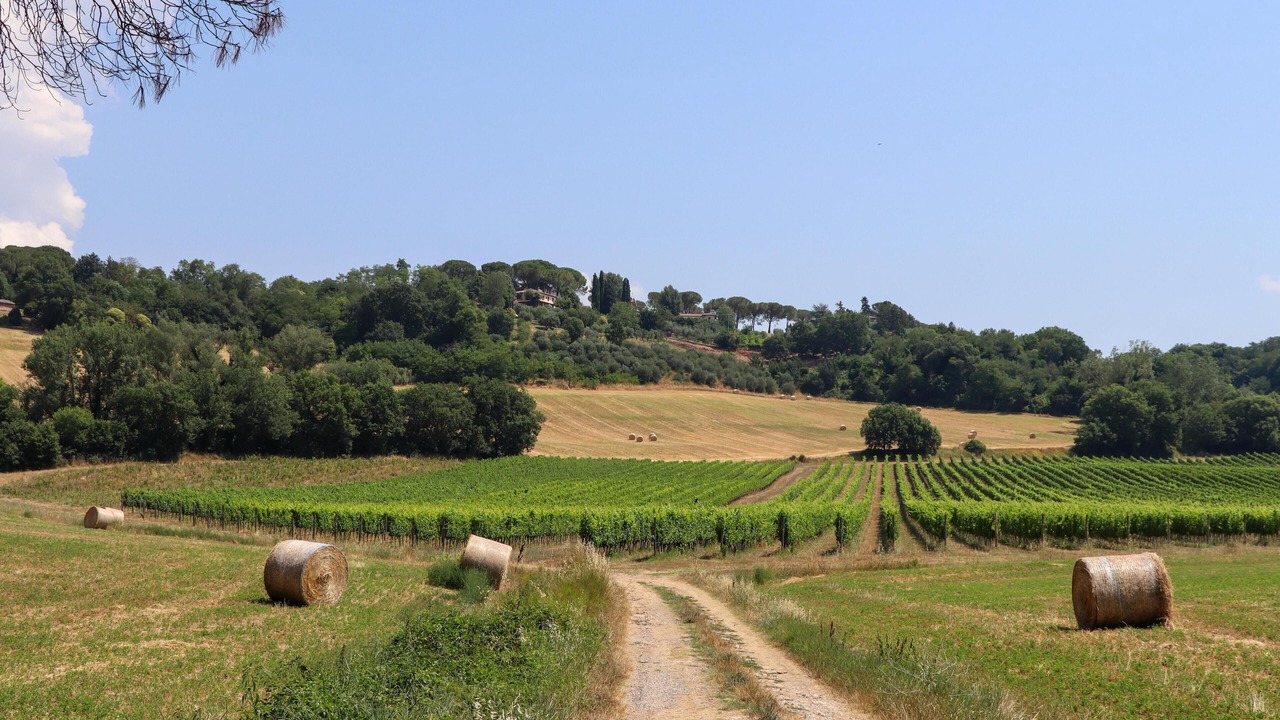 Photo of Others in Solfagnano