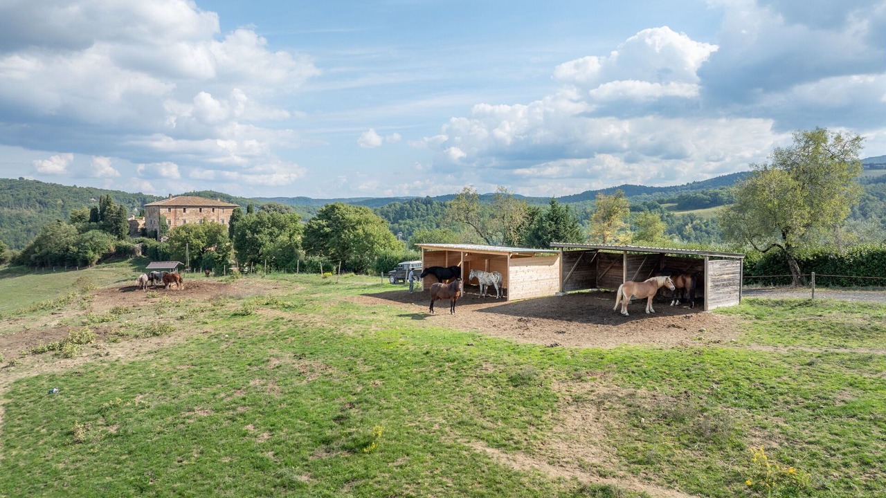 Photo of Outdoor in Radicondoli
