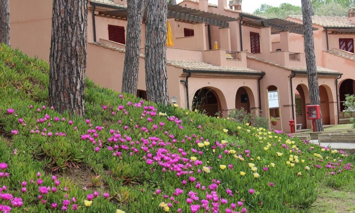 Photo of Outdoor in Scarlino