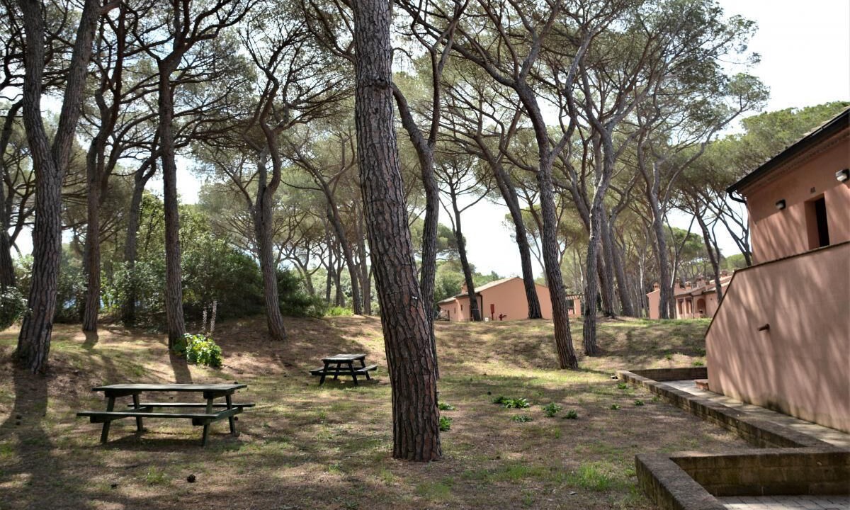 Photo of Outdoor in Scarlino