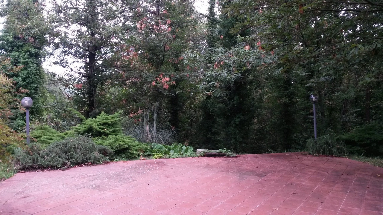 Photo of Outdoor in Gioi