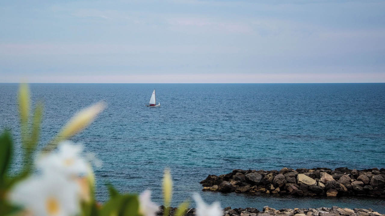 Photo of Others in Marina Lido