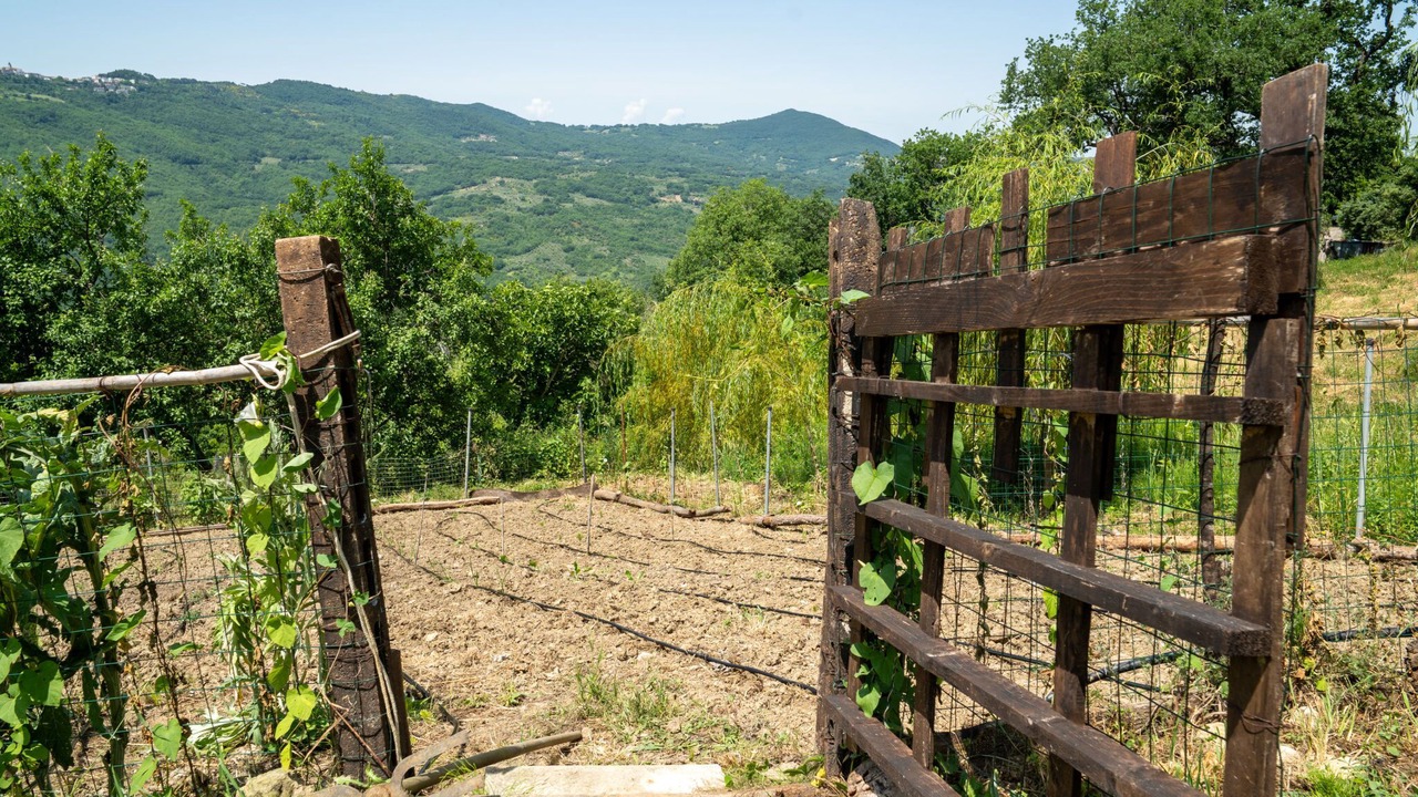 Photo of Others in Palmoli