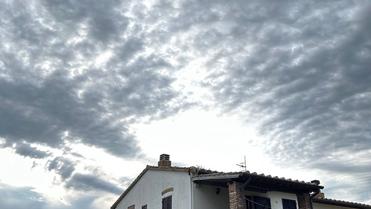 Photo of Outdoor in Grosseto