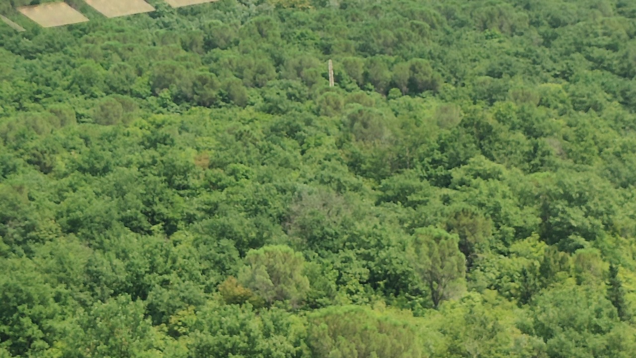 Photo of Others in Rosora