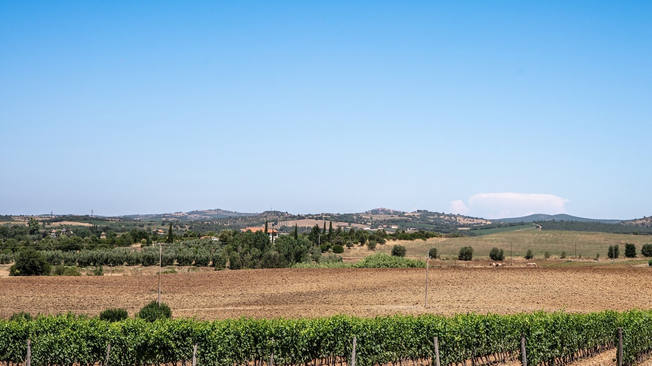 Photo of Others in Magliano in Toscana