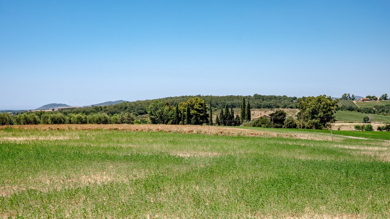 Photo of Others in Magliano in Toscana