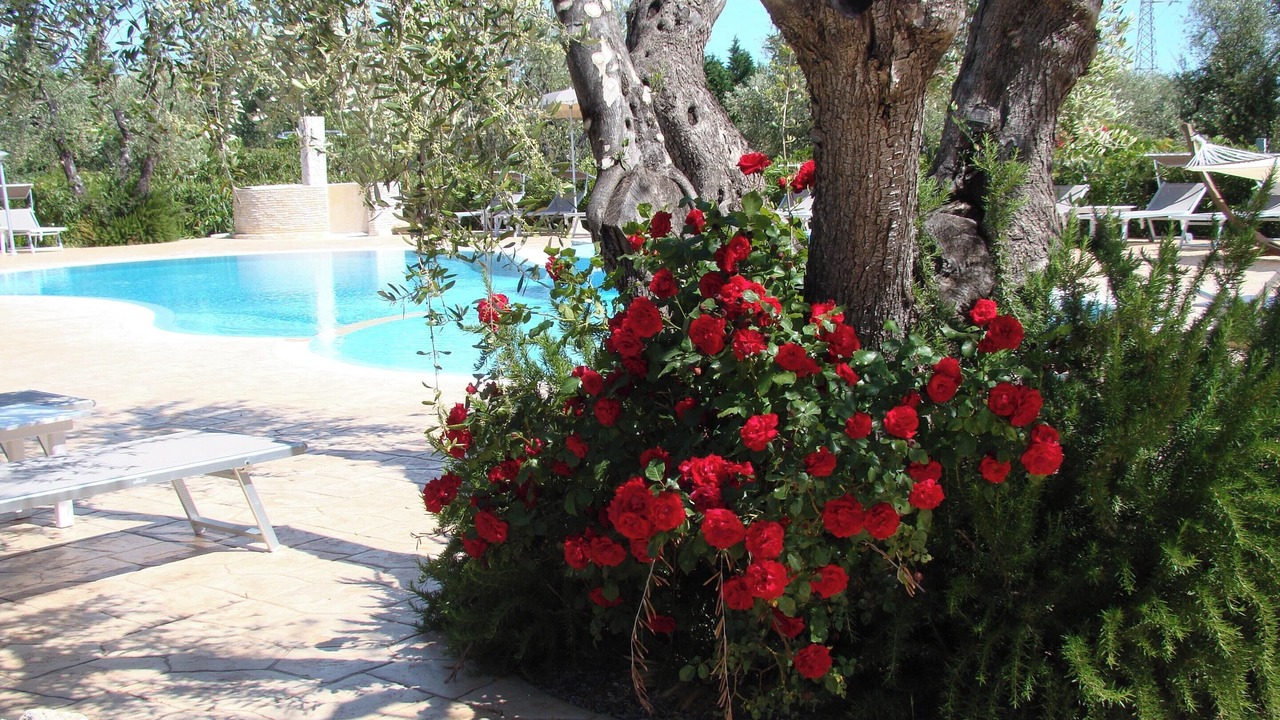 Photo of Outdoor in Chiesiola