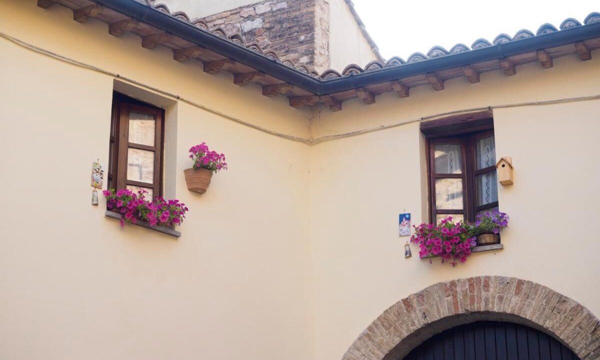 Photo of Outdoor in Spello