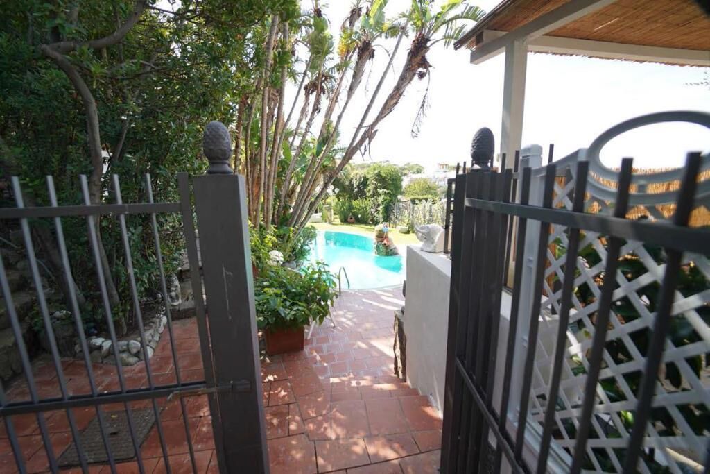 Photo of Outdoor in Forio