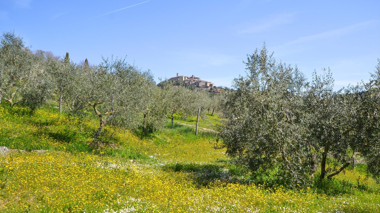 Photo of Bedroom in Monte Santa Maria Tiberina