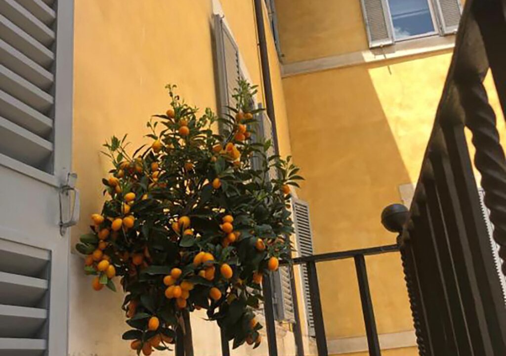 Photo of Outdoor in Rione VIII Sant'Eustachio