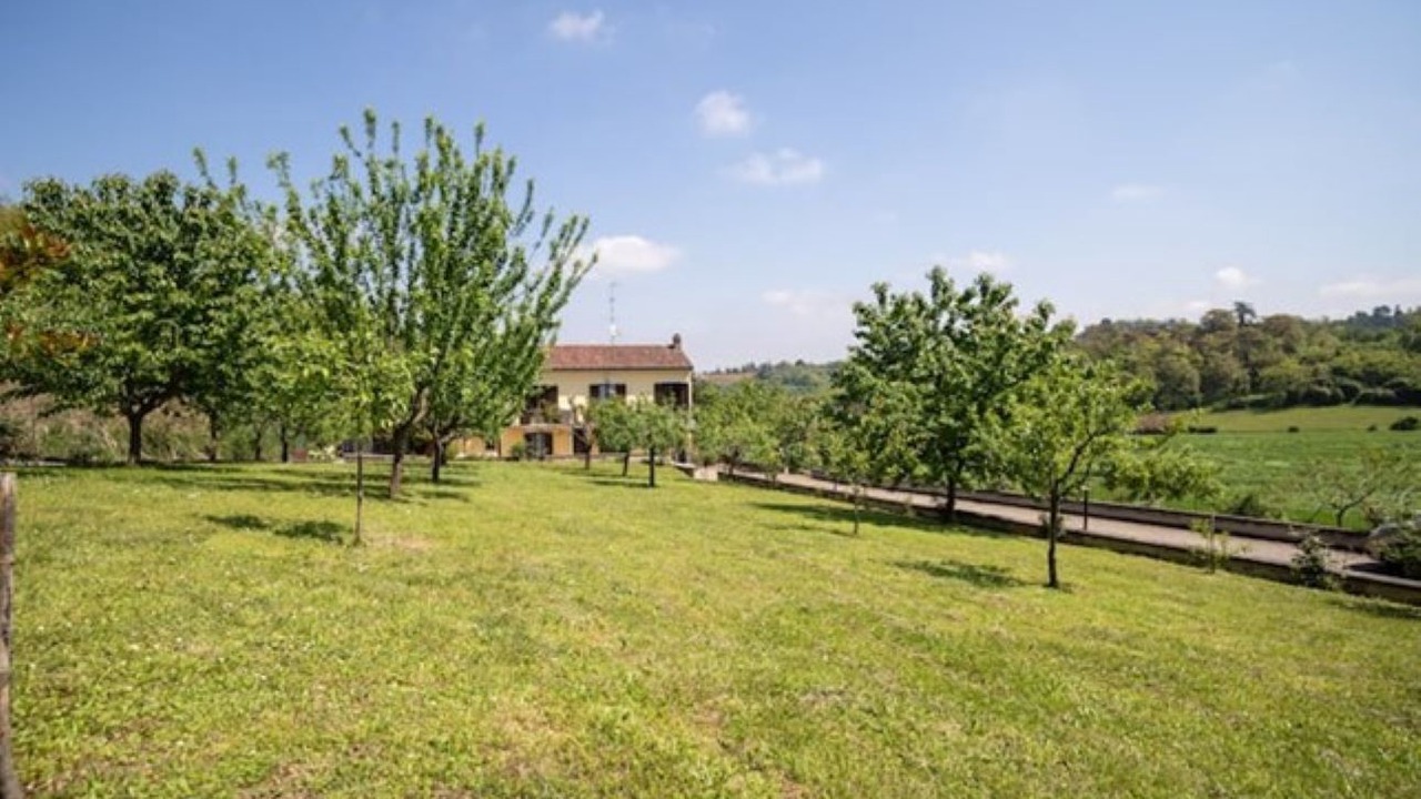 Photo of Outdoor in San Salvatore Monferrato