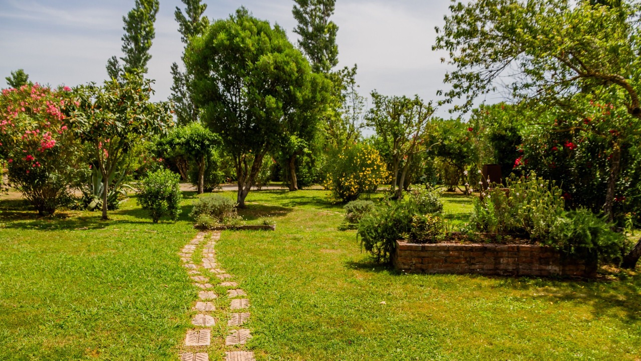 Photo of Outdoor in Grosseto