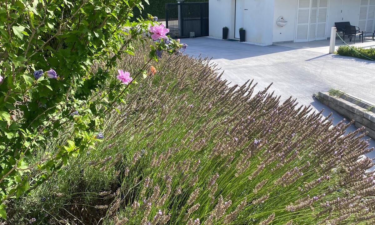 Photo of Outdoor in Sulmona