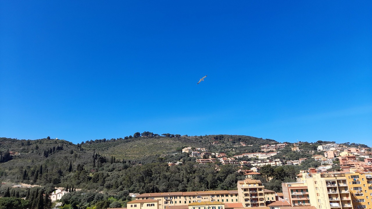 Photo of Others in Porto Santo Stefano