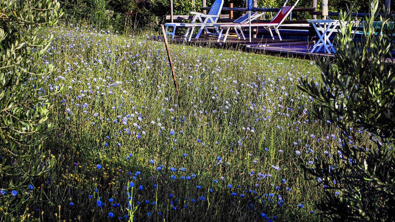 Photo of Outdoor in Serra de' Conti